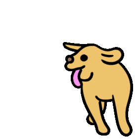 Playful Dog Circling